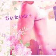 ヒメ日記 2026/01/24 01:44 投稿 倉沢 ローズマリー大塚