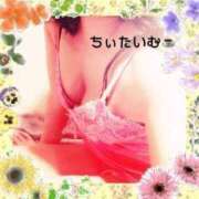 ヒメ日記 2026/02/07 01:44 投稿 倉沢 ローズマリー大塚