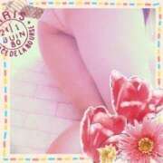 ヒメ日記 2026/03/28 12:44 投稿 倉沢 ローズマリー大塚