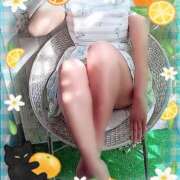 ヒメ日記 2026/04/26 12:07 投稿 倉沢 ローズマリー大塚