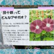 ヒメ日記 2026/07/08 09:47 投稿 倉沢 ローズマリー大塚