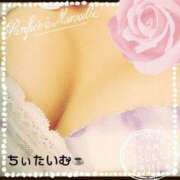 ヒメ日記 2026/08/20 09:57 投稿 倉沢 ローズマリー大塚