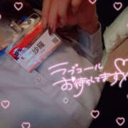 ヒメ日記 2025/01/08 09:31 投稿 沙羅 BAD COMPANY（バッドカンパニー）