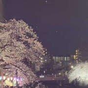 ヒメ日記 2025/04/08 09:23 投稿 沙羅 BAD COMPANY（バッドカンパニー）