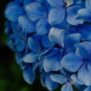 ヒメ日記 2025/04/28 09:03 投稿 沙羅 BAD COMPANY（バッドカンパニー）