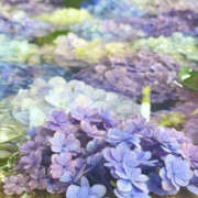 ヒメ日記 2025/05/01 09:29 投稿 沙羅 BAD COMPANY（バッドカンパニー）