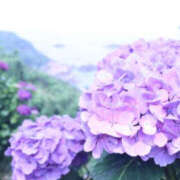 ヒメ日記 2025/06/03 09:49 投稿 沙羅 BAD COMPANY（バッドカンパニー）