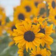 ヒメ日記 2025/08/14 09:00 投稿 沙羅 BAD COMPANY（バッドカンパニー）