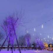 ヒメ日記 2025/11/10 09:31 投稿 沙羅 BAD COMPANY（バッドカンパニー）