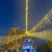 ヒメ日記 2025/11/25 09:04 投稿 沙羅 BAD COMPANY（バッドカンパニー）