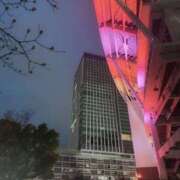 沙羅 完売感謝です! BAD COMPANY(バッドカンパニー)