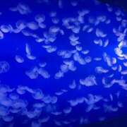 ヒメ日記 2026/01/06 08:50 投稿 沙羅 BAD COMPANY（バッドカンパニー）