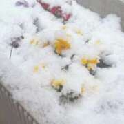 ヒメ日記 2026/02/08 09:50 投稿 沙羅 BAD COMPANY（バッドカンパニー）