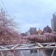 ヒメ日記 2026/04/01 09:23 投稿 沙羅 BAD COMPANY（バッドカンパニー）