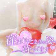 ヒメ日記 2024/08/21 08:38 投稿 るみ 性腺熟女100％（デリヘル市場）