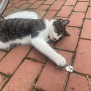 ヒメ日記 2025/12/24 11:01 投稿 りく バッドカンパニー土浦店