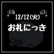 ヒメ日記 2023/12/16 14:16 投稿 雛森せな アロー,c.l.v.