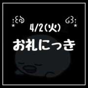 ヒメ日記 2024/04/17 03:19 投稿 雛森せな アロー,c.l.v.