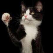 ヒメ日記 2025/01/31 09:37 投稿 白鳥(淑女の内緒のお遊び) おふくろさん 名古屋本店