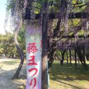 ヒメ日記 2025/05/01 09:18 投稿 白鳥(淑女の内緒のお遊び) おふくろさん 名古屋本店