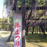 ヒメ日記 2026/05/02 08:58 投稿 白鳥(淑女の内緒のお遊び) おふくろさん 名古屋本店