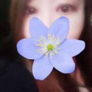 ヒメ日記 2025/02/24 13:23 投稿 真矢(妖艶な唇からの誘い) おふくろさん 名古屋本店