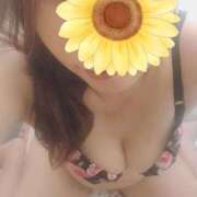 ヒメ日記 2025/04/04 10:22 投稿 真矢(妖艶な唇からの誘い) おふくろさん 名古屋本店