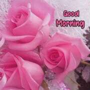 ヒメ日記 2025/04/25 06:33 投稿 藤(上質な色香と美貌) おふくろさん 名古屋本店