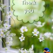 ヒメ日記 2025/09/22 16:25 投稿 藤(上質な色香と美貌) おふくろさん 名古屋本店