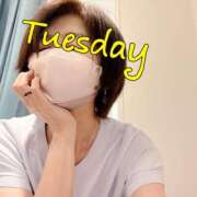 ヒメ日記 2024/12/24 08:57 投稿 葵(恋人も濡れるｽﾚﾝﾀﾞｰ) おふくろさん 名古屋本店