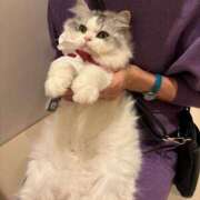 ヒメ日記 2025/03/30 12:20 投稿 葵(恋人も濡れるｽﾚﾝﾀﾞｰ) おふくろさん 名古屋本店