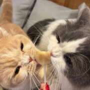 ヒメ日記 2025/05/17 12:46 投稿 葵(恋人も濡れるｽﾚﾝﾀﾞｰ) おふくろさん 名古屋本店