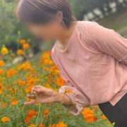 ヒメ日記 2025/07/28 18:54 投稿 葵(恋人も濡れるｽﾚﾝﾀﾞｰ) おふくろさん 名古屋本店