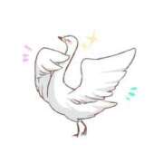 ヒメ日記 2025/11/30 08:19 投稿 葵(恋人も濡れるｽﾚﾝﾀﾞｰ) おふくろさん 名古屋本店