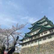 ヒメ日記 2025/04/06 11:14 投稿 手越(Ｈカップの子猫ちゃん) おふくろさん 名古屋本店