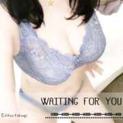 ヒメ日記 2025/04/25 21:16 投稿 手越(Ｈカップの子猫ちゃん) おふくろさん 名古屋本店