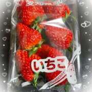 ヒメ日記 2025/12/30 00:01 投稿 手越(Ｈカップの子猫ちゃん) おふくろさん 名古屋本店