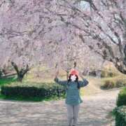 ヒメ日記 2025/04/11 08:06 投稿 大倉(甘えられるの大好き♪) おふくろさん 名古屋本店