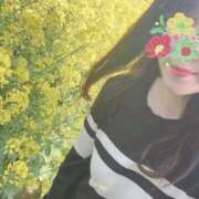 ヒメ日記 2025/04/14 19:23 投稿 大倉(甘えられるの大好き♪) おふくろさん 名古屋本店