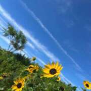 ヒメ日記 2025/07/21 12:46 投稿 大倉(甘えられるの大好き♪) おふくろさん 名古屋本店