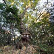 ヒメ日記 2026/01/07 09:08 投稿 大倉(甘えられるの大好き♪) おふくろさん 名古屋本店