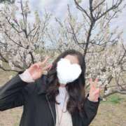 ヒメ日記 2026/02/26 13:02 投稿 大倉(甘えられるの大好き♪) おふくろさん 名古屋本店