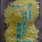 ヒメ日記 2025/04/26 05:21 投稿 星野(癒しの微笑み満載) おふくろさん 名古屋本店