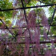 ヒメ日記 2026/05/06 14:43 投稿 星野(癒しの微笑み満載) おふくろさん 名古屋本店