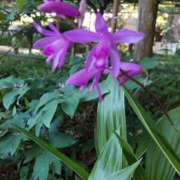 ヒメ日記 2026/05/08 17:41 投稿 星野(癒しの微笑み満載) おふくろさん 名古屋本店