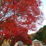 ヒメ日記 2023/12/25 23:07 投稿 小野寺(ダイナマイトボディ) おふくろさん 名古屋本店