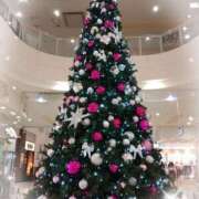 ヒメ日記 2024/12/11 01:54 投稿 小野寺(ダイナマイトボディ) おふくろさん 名古屋本店