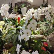 ヒメ日記 2025/03/17 21:28 投稿 小野寺(ダイナマイトボディ) おふくろさん 名古屋本店