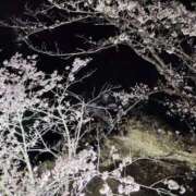 ヒメ日記 2025/04/07 10:58 投稿 小野寺(ダイナマイトボディ) おふくろさん 名古屋本店