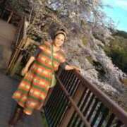 ヒメ日記 2025/04/10 12:03 投稿 小野寺(ダイナマイトボディ) おふくろさん 名古屋本店